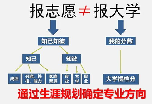 2024年报考志愿指南 计算机专业就业方向，鸿蒙开发与人工智能如何选择？